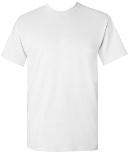 SHORT SLEEVE SCREEN PRINT TSHIRT